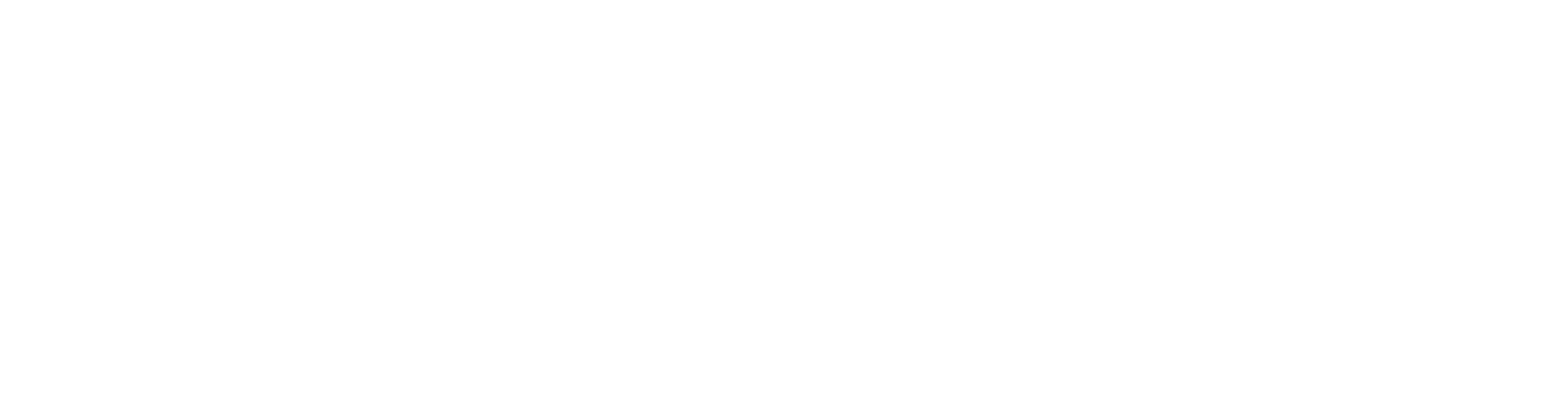 Programa Integra Rio